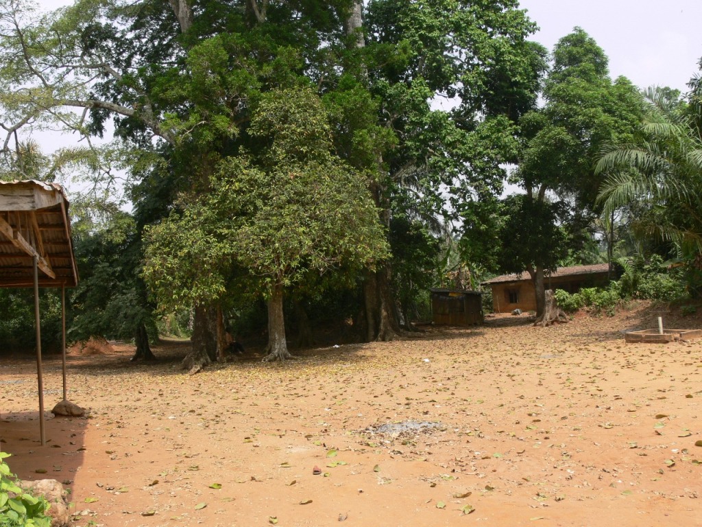 Mbara Nta Ocha in - December 31 2008